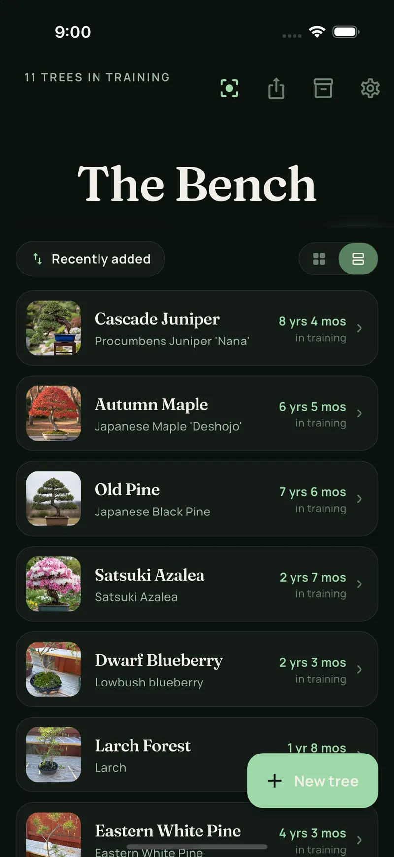 App screenshot of the Bench in list view: each tree with its photo, species, and time in training, sorted by recently added